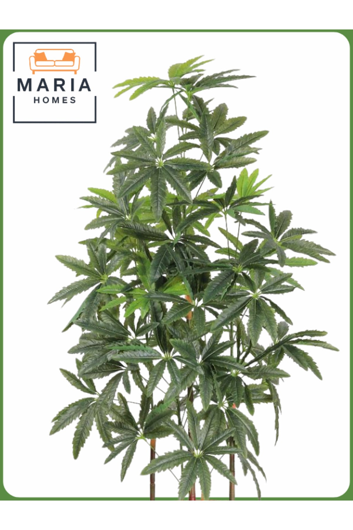 Artificial Aralia Tree 185cm with 5 Branches in Yellow Pot – Stylish Indoor Decoration