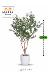 Artificial Olive Tree 200 cm Ð Decorative Plant in White Fiber Pot for home & office decor