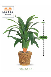 Artificial Corn Leaf Plant 80 cm – Decorative Green Plant with Woven Basket Pot for home and office