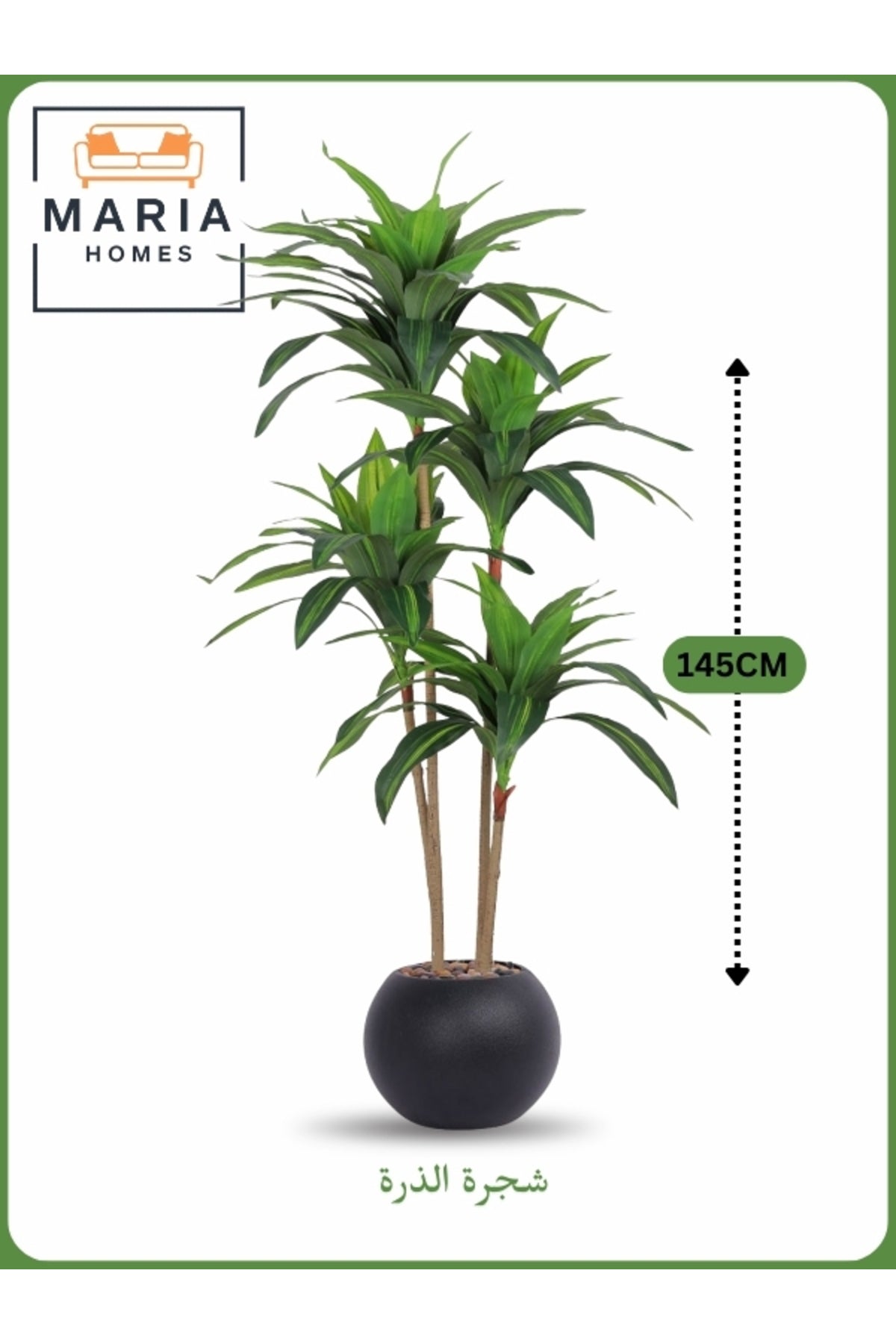 Artificial Corn Leaf Tree 145 cm Ð Indoor Faux Plant with Black white Pot