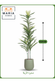 Artificial Areca Palm Tree 210 cm Ð Tall Decorative Plant with Sage Green Pot