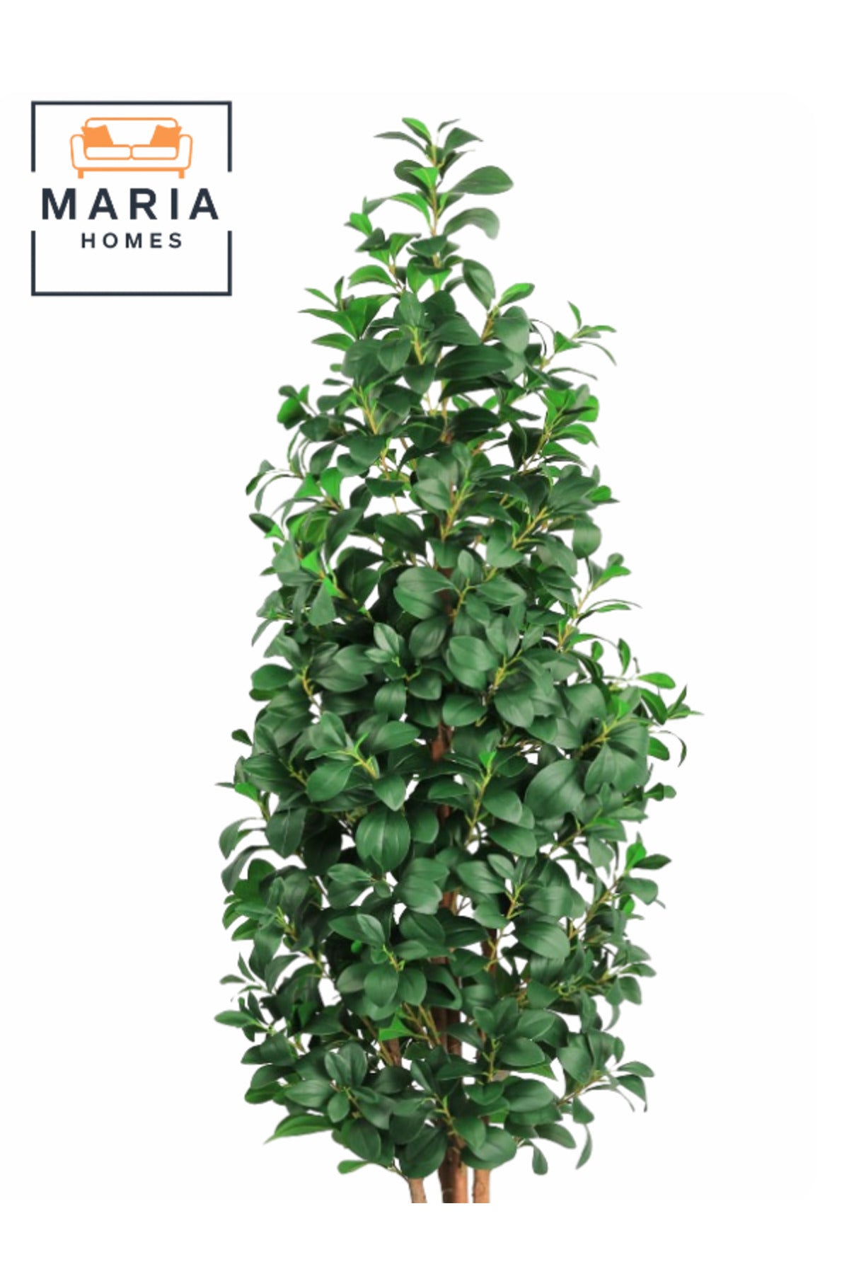 Artificial Lemon Leaf Tree 200 cm Ð Green Foliage in Round Brown Plastic Pot for home decor