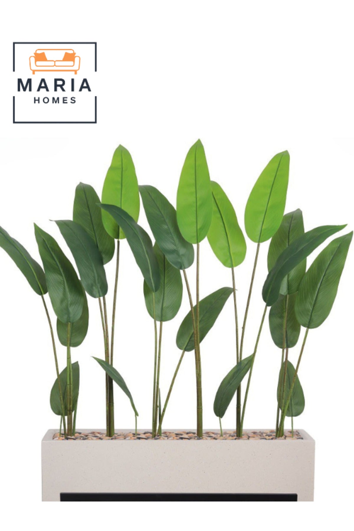 Artificial Bird of Paradise Plant in White Fiber Pot 155cmTall Indoor Decorative Tree for