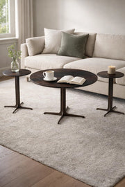 Brown Ceramic Coffee Table Set 1+2 with Metal Base 80_80_48 cm 45_45_55 Side Tables