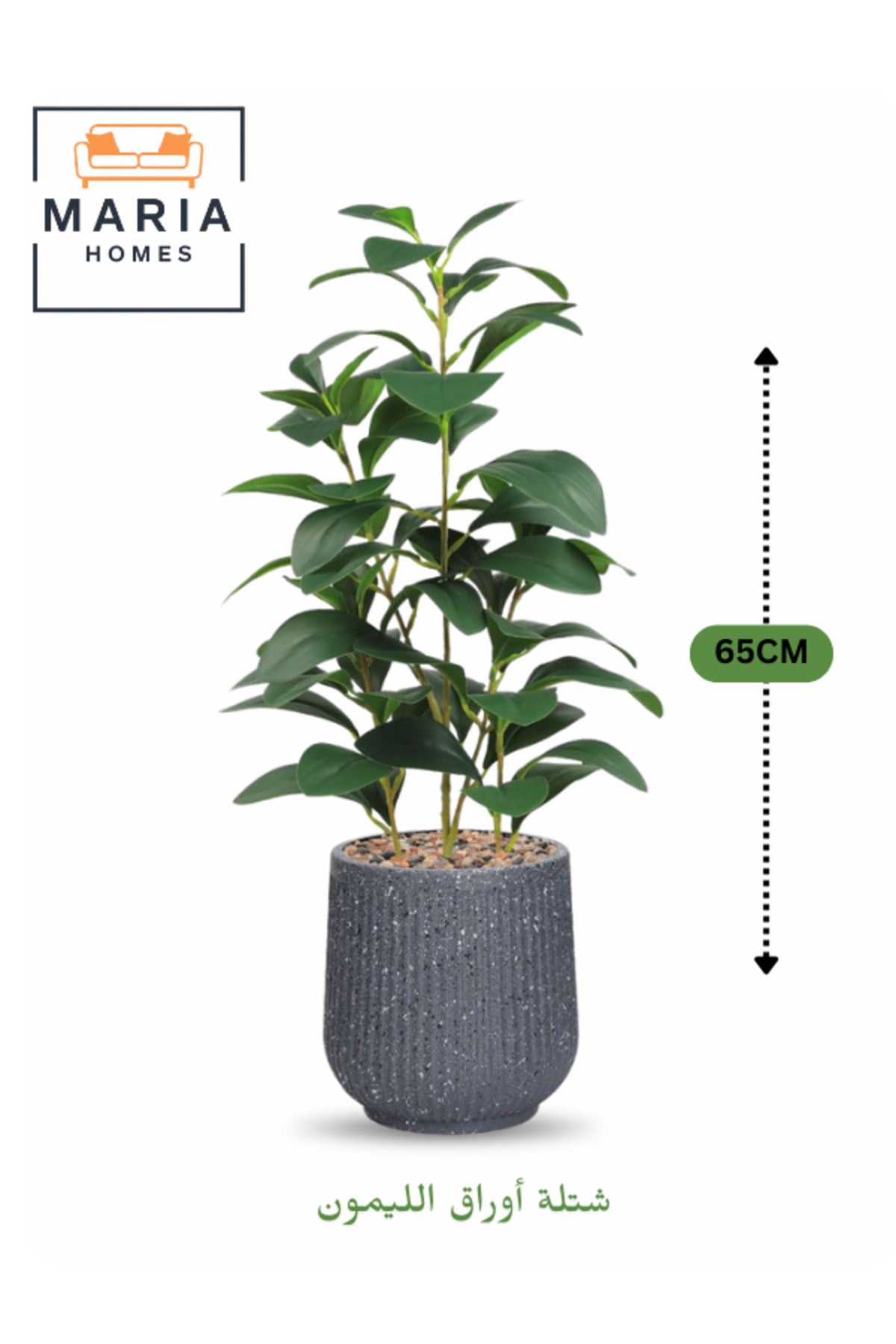 Artificial Lemon Green Leaf Plant 65 cm Ð Decorative Indoor Plant with Gray Pot