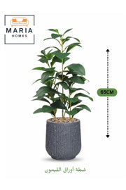 Artificial Lemon Green Leaf Plant 65 cm Ð Decorative Indoor Plant with Gray Pot