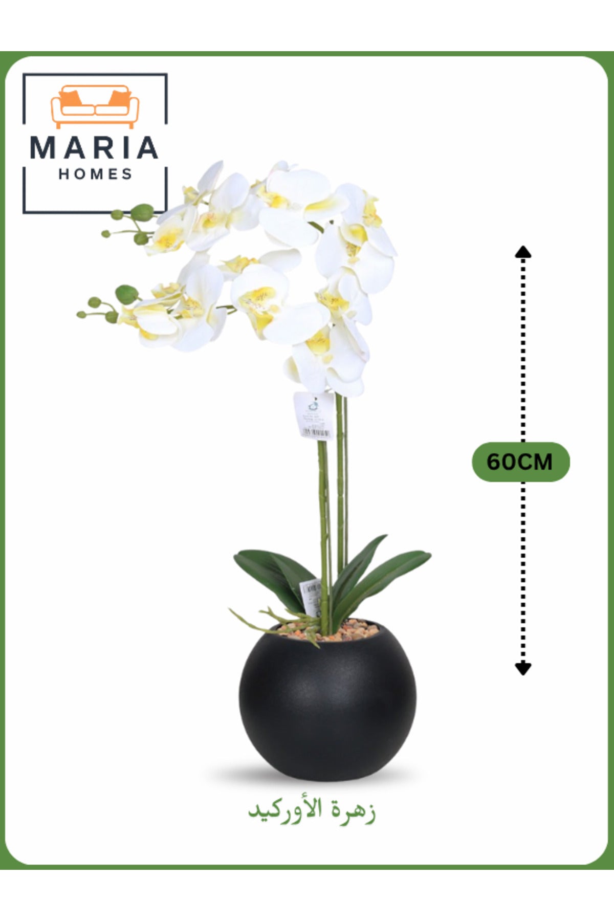 White Artificial Orchid in Black Pot Ð 60cm Decorative Plant with 2 Branches