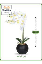 White Artificial Orchid in Black Pot Ð 60cm Decorative Plant with 2 Branches