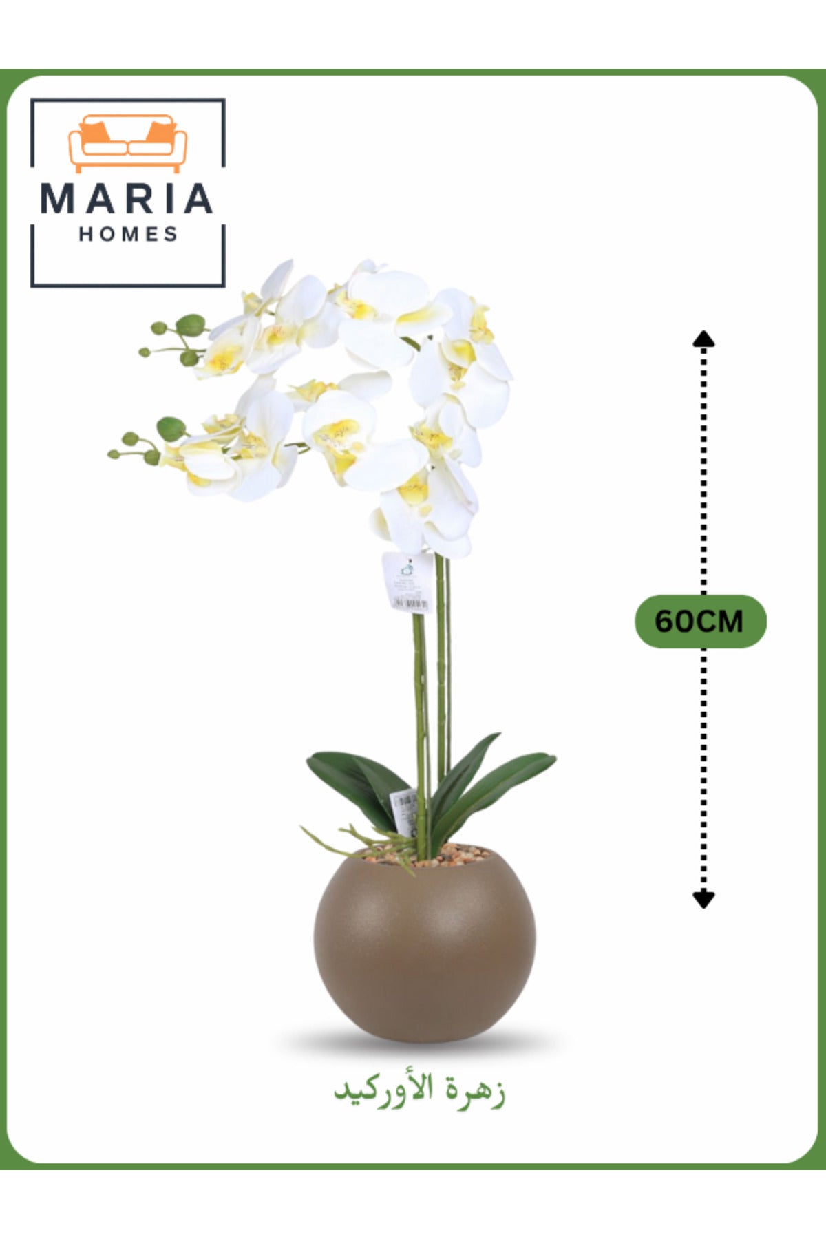 White Artificial Orchid in Brown Pot Ð 60cm Decorative Plant with 2 Branches