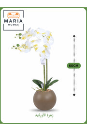 White Artificial Orchid in Brown Pot Ð 60cm Decorative Plant with 2 Branches