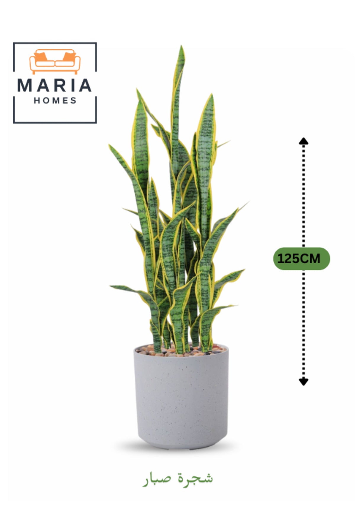 Artificial Snake Plant 125 cm Ð Indoor Decorative Plant with Light Gray Pot for home & office decor