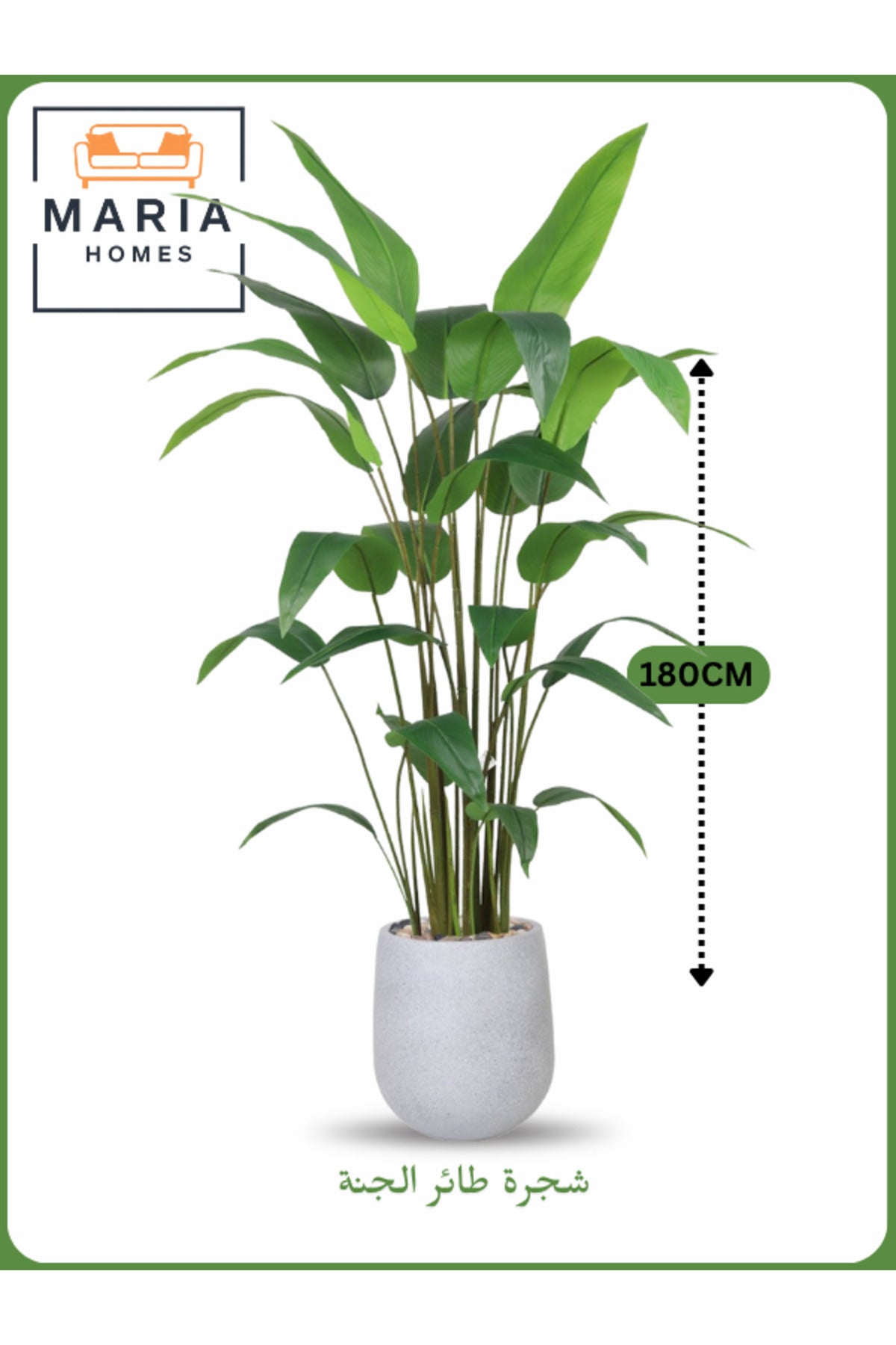 Artificial Bird of Paradise Tree 180 cm Ð Tall Indoor Plant with Light Gray Pot