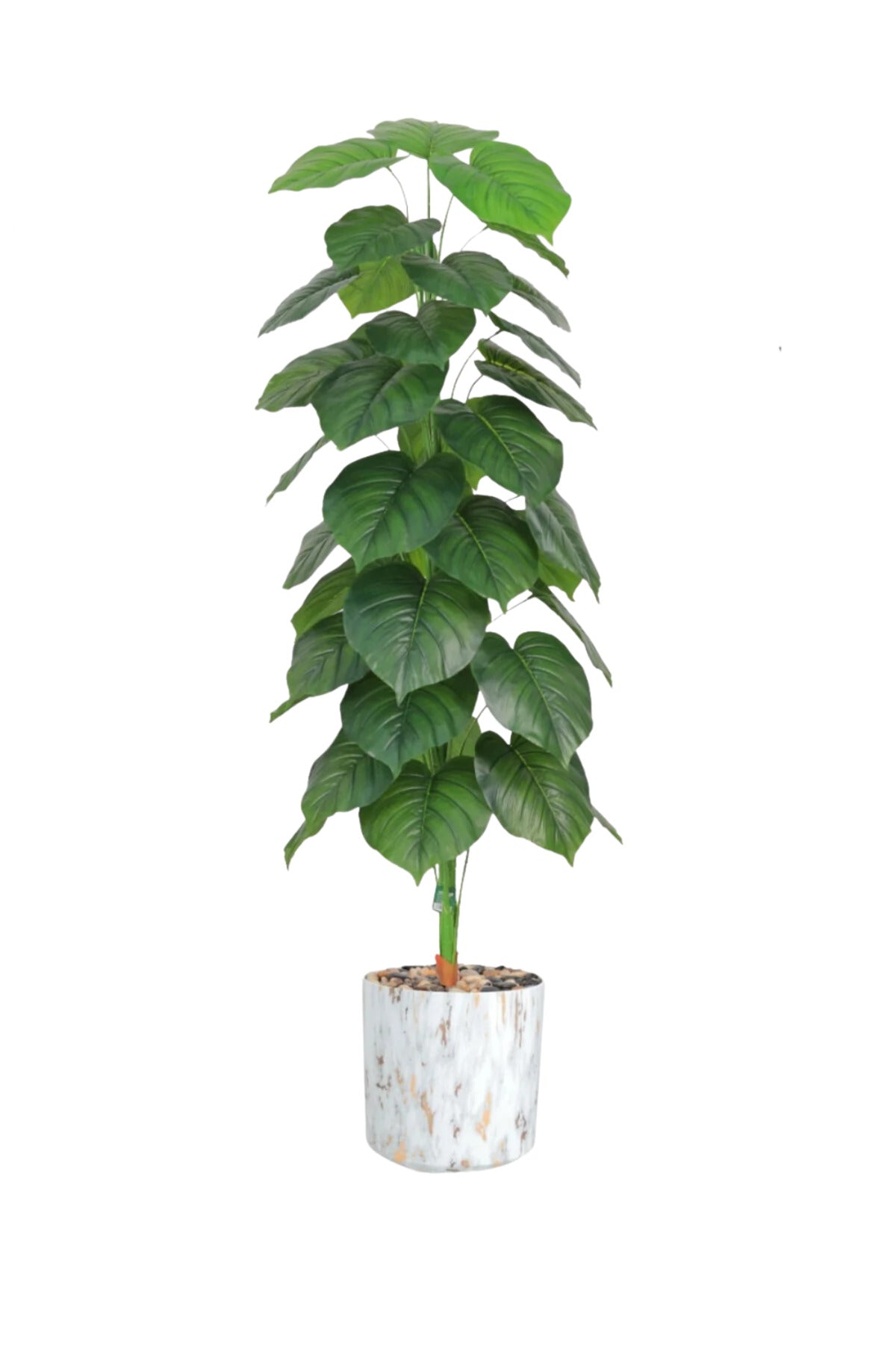 190 CM Artificial Philodendron Tree with Marble Design with Pot – Indoor Decor Plant