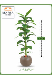 Artificial Banana Leaf Tree 200 cm Ð Indoor Decorative Plant with Brown Pot