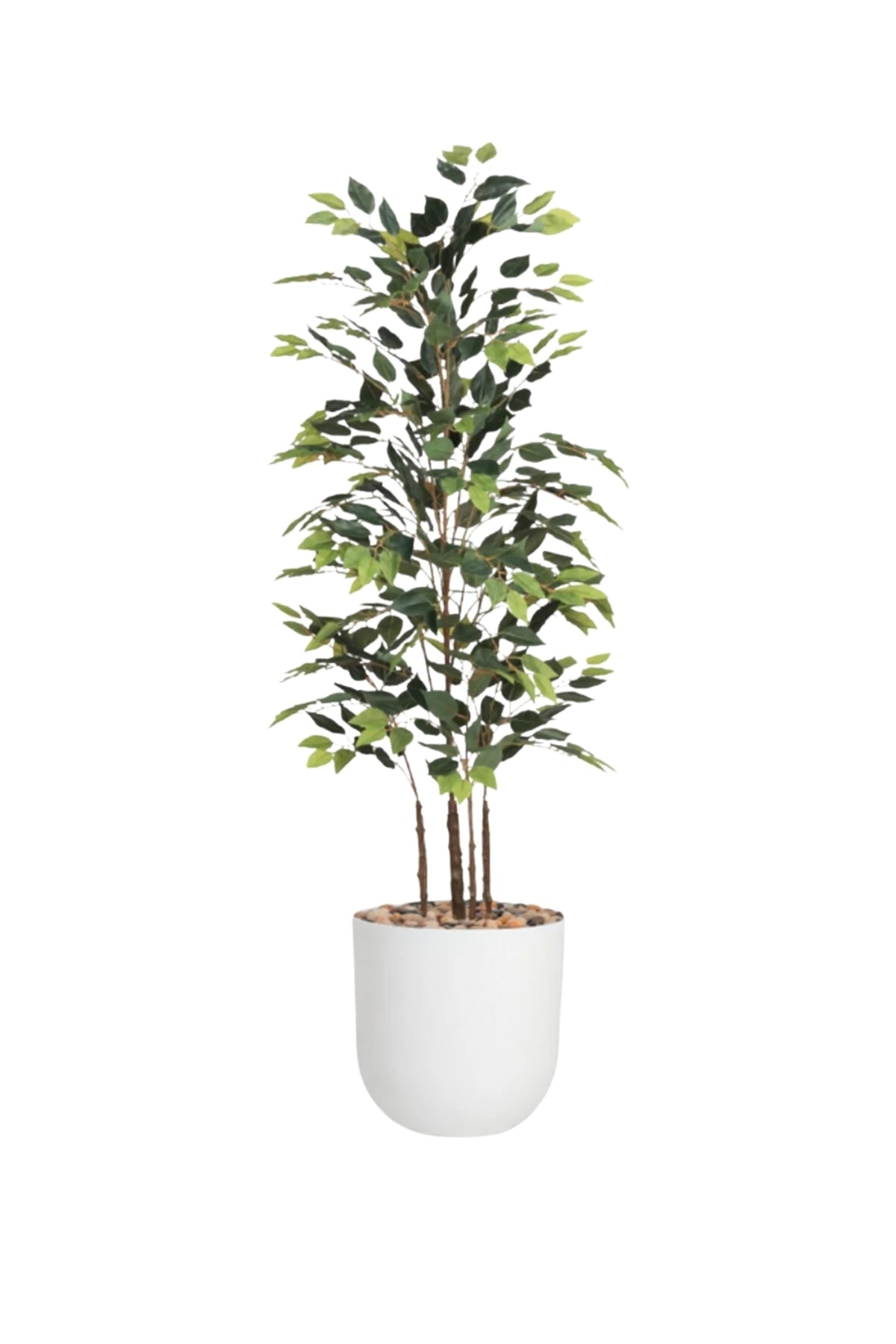 Artificial Ficus Tree 170 cm – Decorative Indoor Plant with white Pot