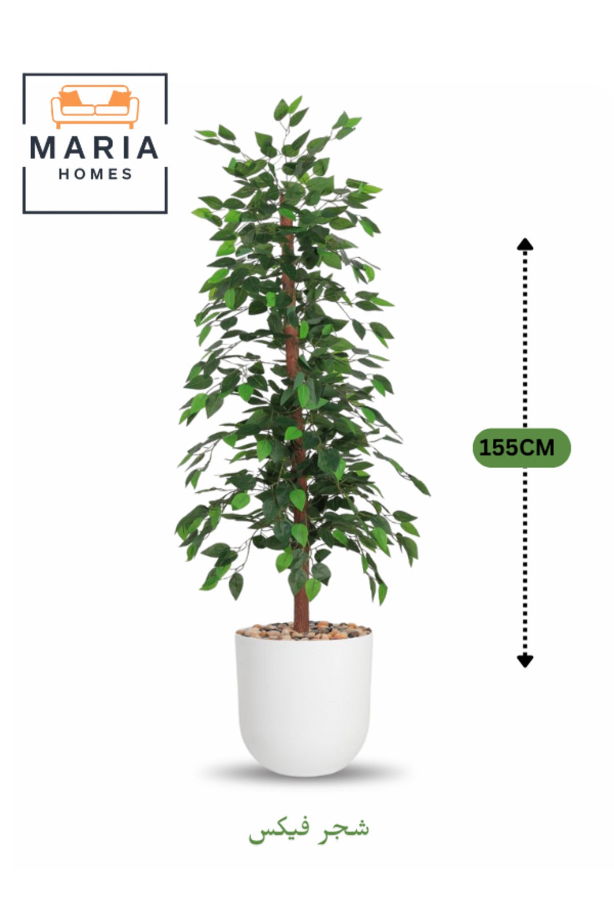Artificial Ficus Tree 155 cm Ð Decorative Green Plant with White Plastic Pot for home and office