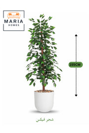 Artificial Ficus Tree 155 cm Ð Decorative Green Plant with White Plastic Pot for home and office