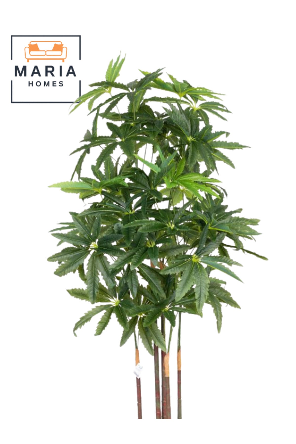 Artificial Aralia Tree 180cm with 5 Branches in Yellow Pot – Indoor Home & Office Decor