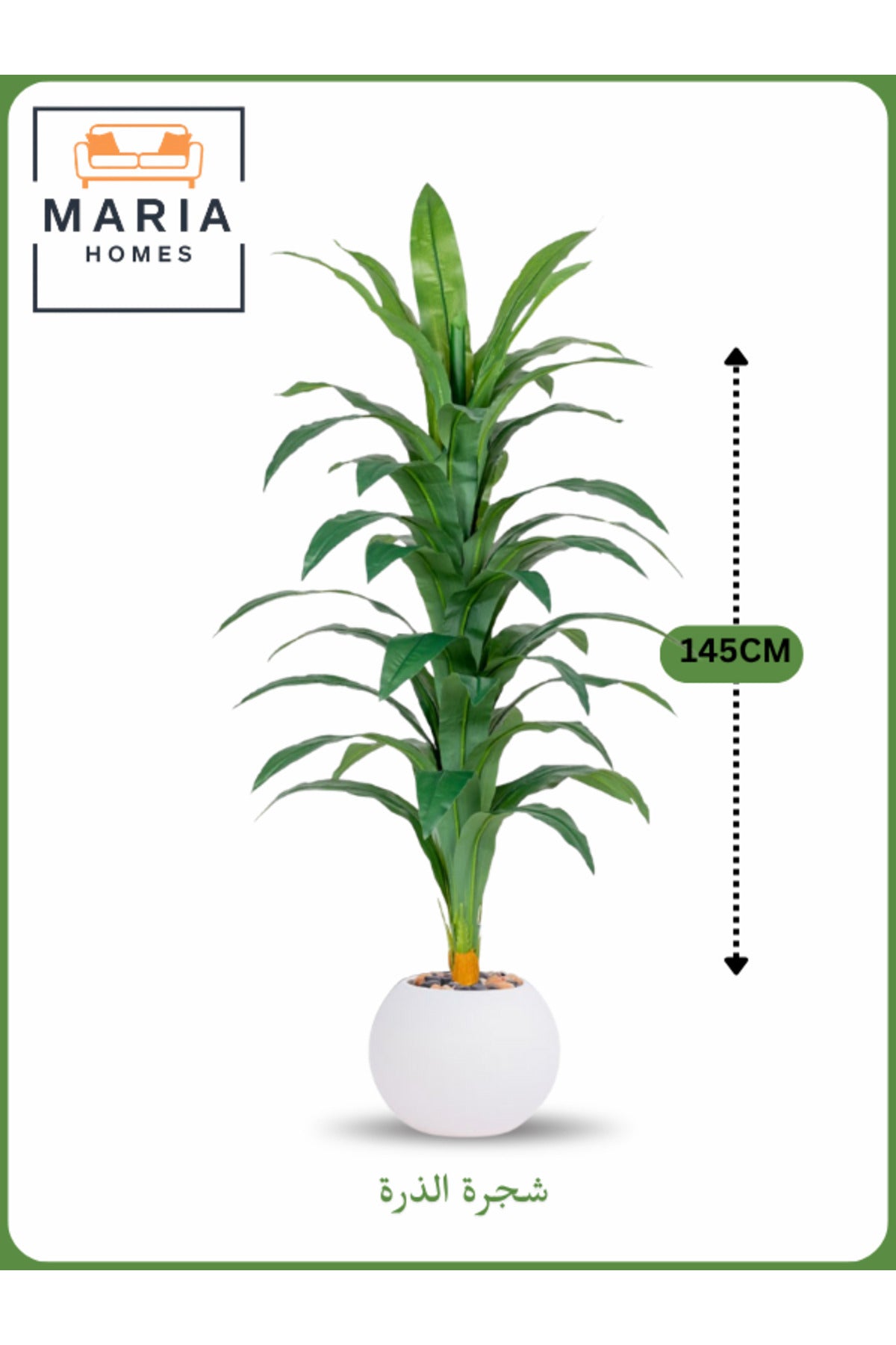 Artificial Corn Leaf Tree 145 cm Ð Decorative Indoor Plant with new White Pot