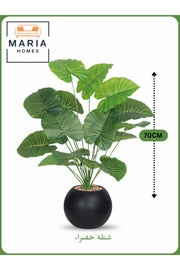 Artificial Green Leaf Plant 70 cm Ð Decorative Indoor Shrub with Black Pot