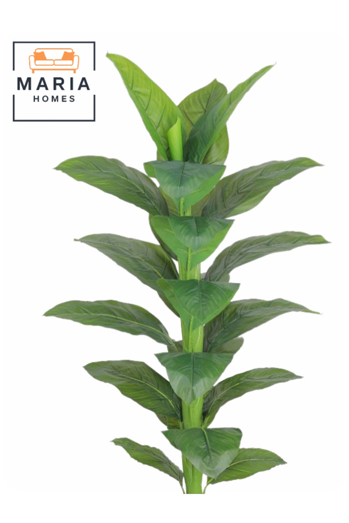 Artificial Large Green Leaf Tree 160 cm Ð Decorative Indoor Plant with Pot for Home & Office