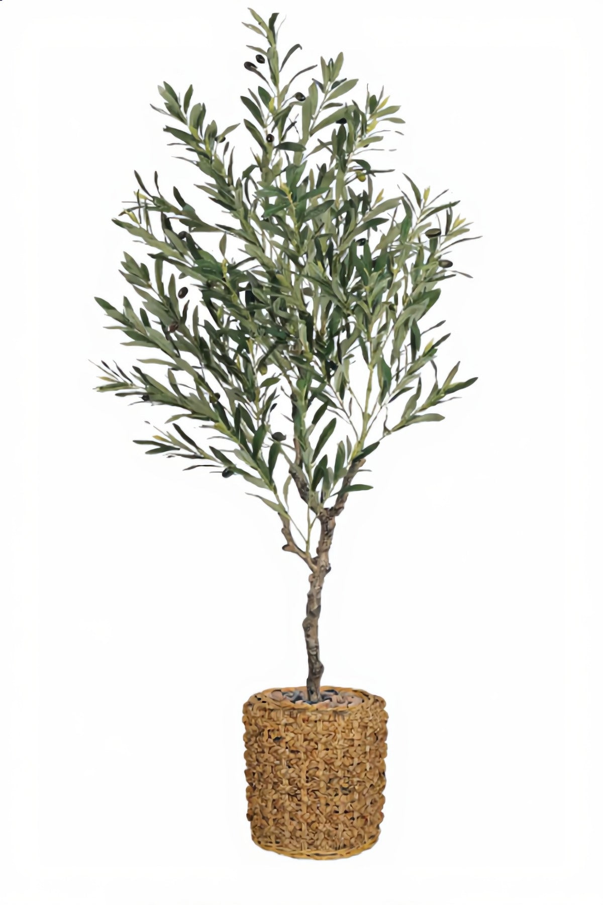 Artificial Olive Tree 150 cm – Tall Decorative Plant with Woven Basket Pot for home & office