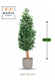 Artificial Lemon Leaf Tree 200 cm Ð Green Foliage in Light Gray Plastic Pot for home decor