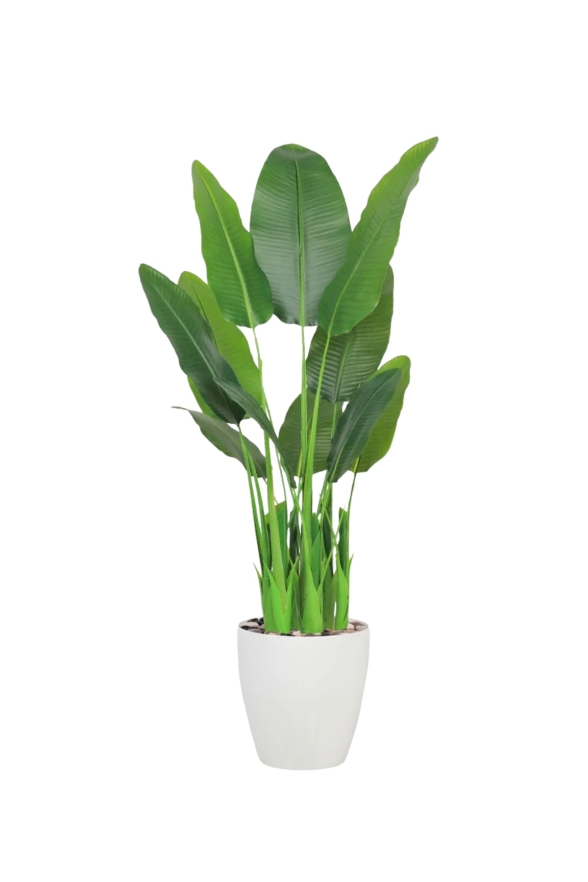 Artificial Banana Leaf Tree 220 cm with 8 Branches in Pot