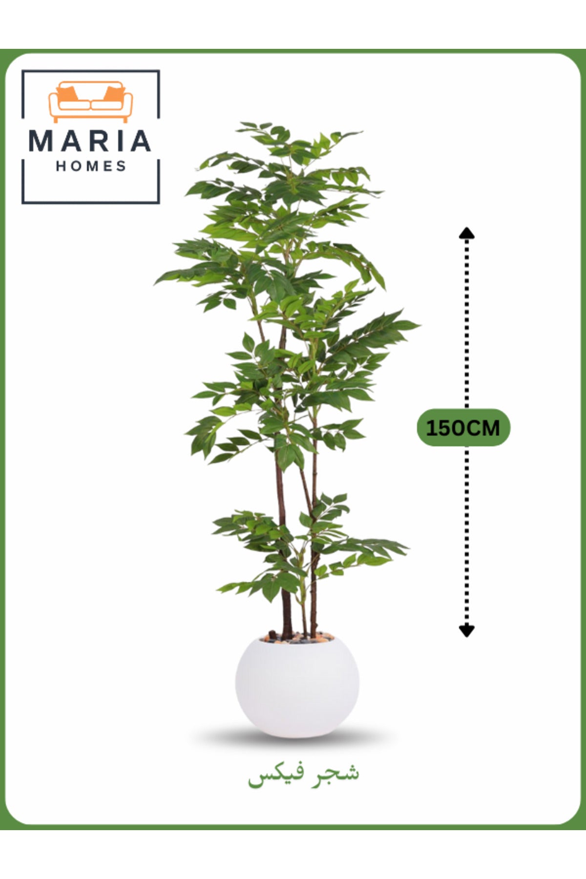 Artificial Ficus Tree 150 cm – Indoor Decorative Plant with White Pot