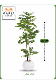 Artificial Ficus Tree 150 cm – Indoor Decorative Plant with White Pot