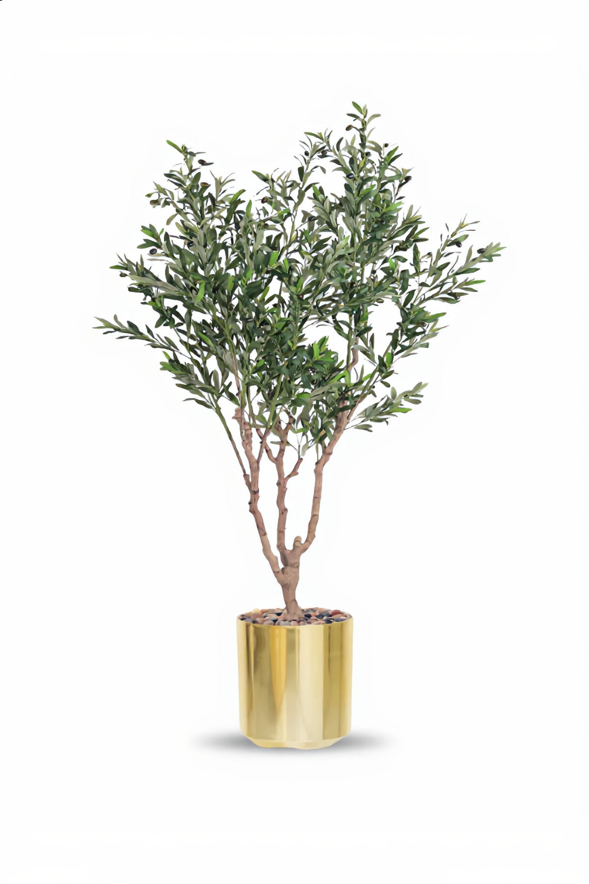 Artificial Olive Tree 210 cm – Green Foliage with Gold Plastic Pot for home & office decor