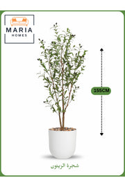 Artificial Olive Tree 155 cm Ð Indoor Decorative Plant with White Pot