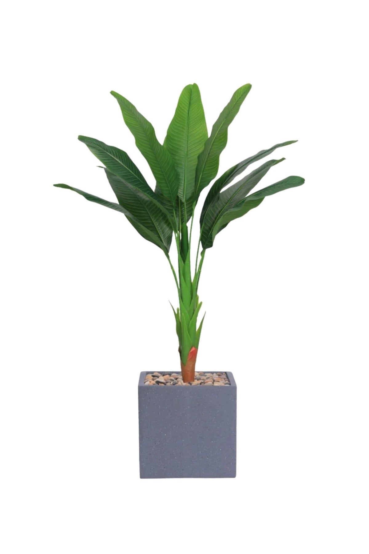 125 cm Artificial Bird of Paradise Plant with Square Gray Fiber Pot – Tropical Indoor Decor
