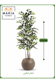 Artificial Ficus Tree 170 cm Ð Indoor Decorative Plant with Brown Pot