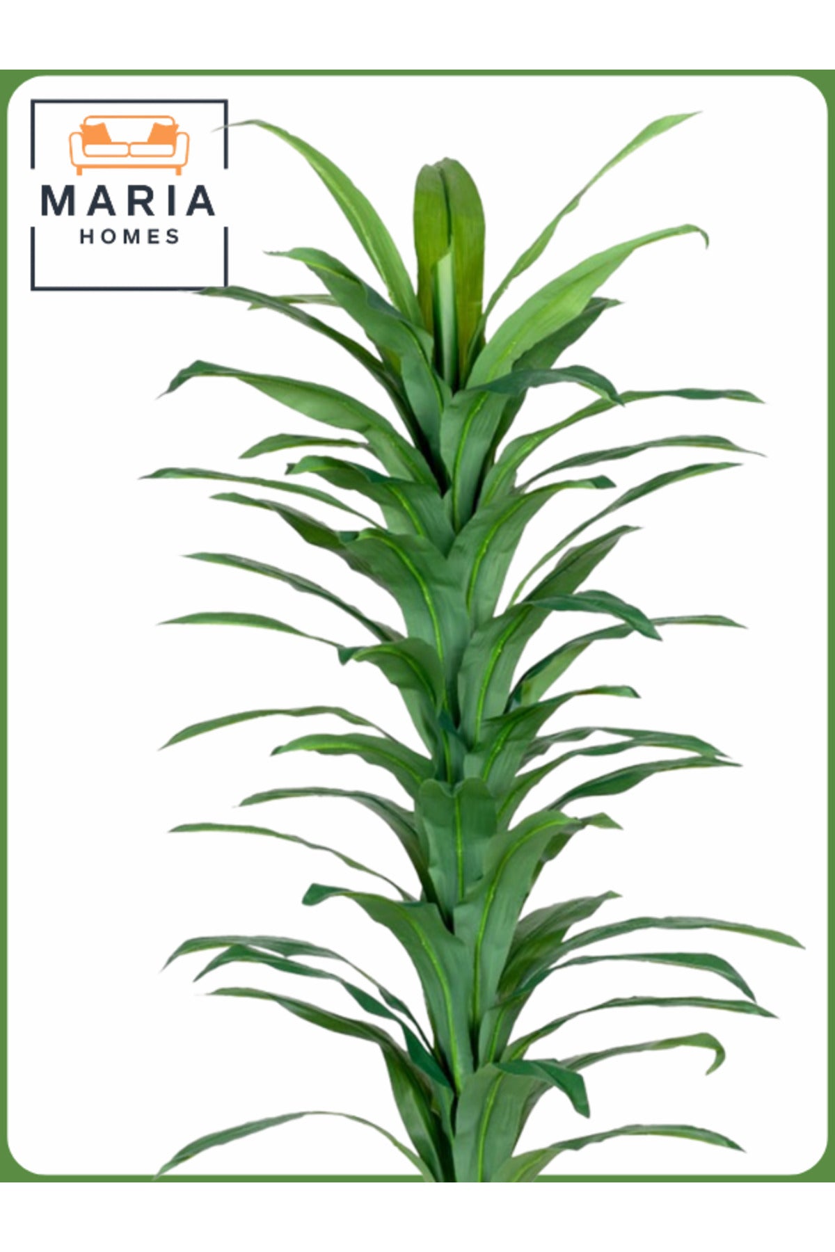 Artificial Corn Leaf Tree 185 cm Ð Indoor Plant with Black Plastic Pot