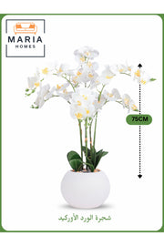 Artificial Orchid Flower Tree 75 cm Ð Elegant Indoor Decor with White Pot