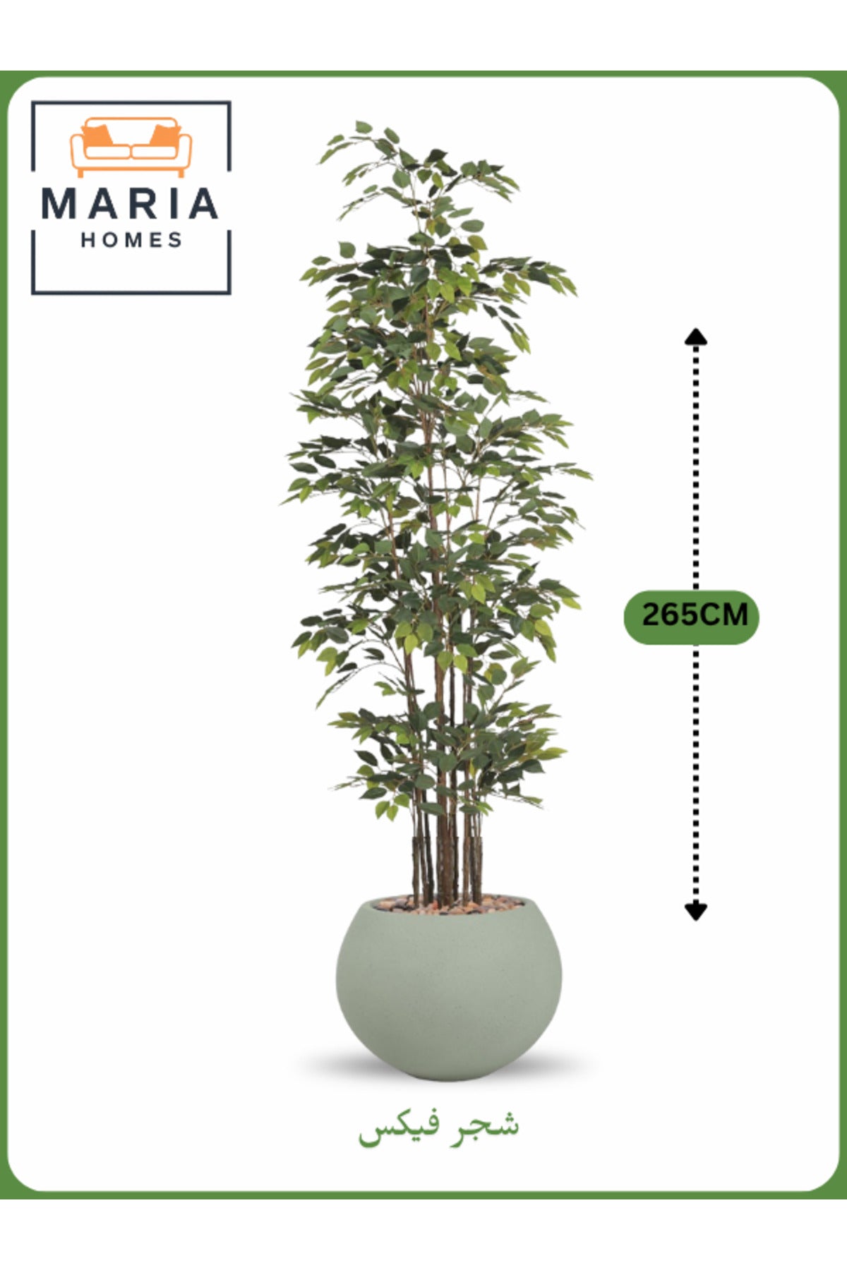 Artificial Ficus Tree 265 cm Ð Tall Decorative Indoor Plant with Sage Green Pot