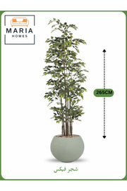 Artificial Ficus Tree 265 cm Ð Tall Decorative Indoor Plant with Sage Green Pot