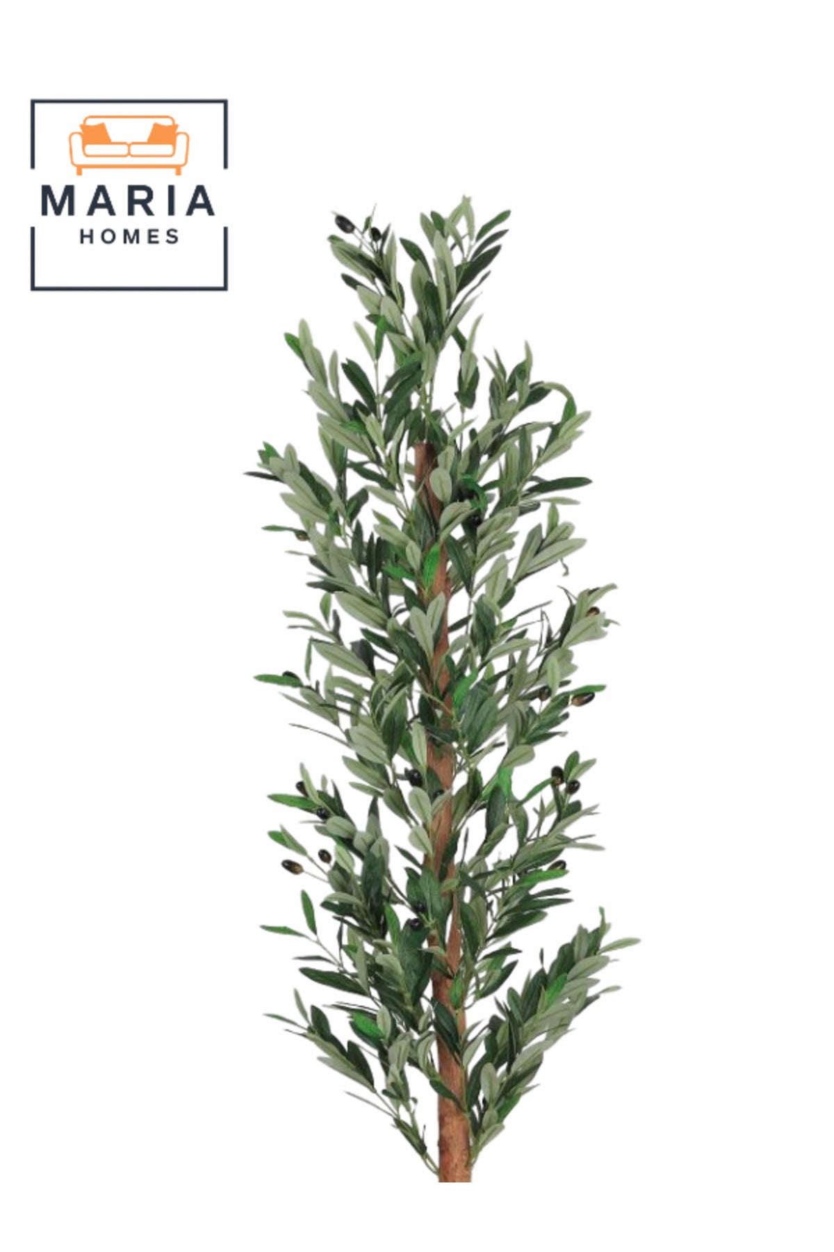 Artificial Olive Tree 160 cm Ð Tall Decorative Plant with White Plastic Pot for home & office