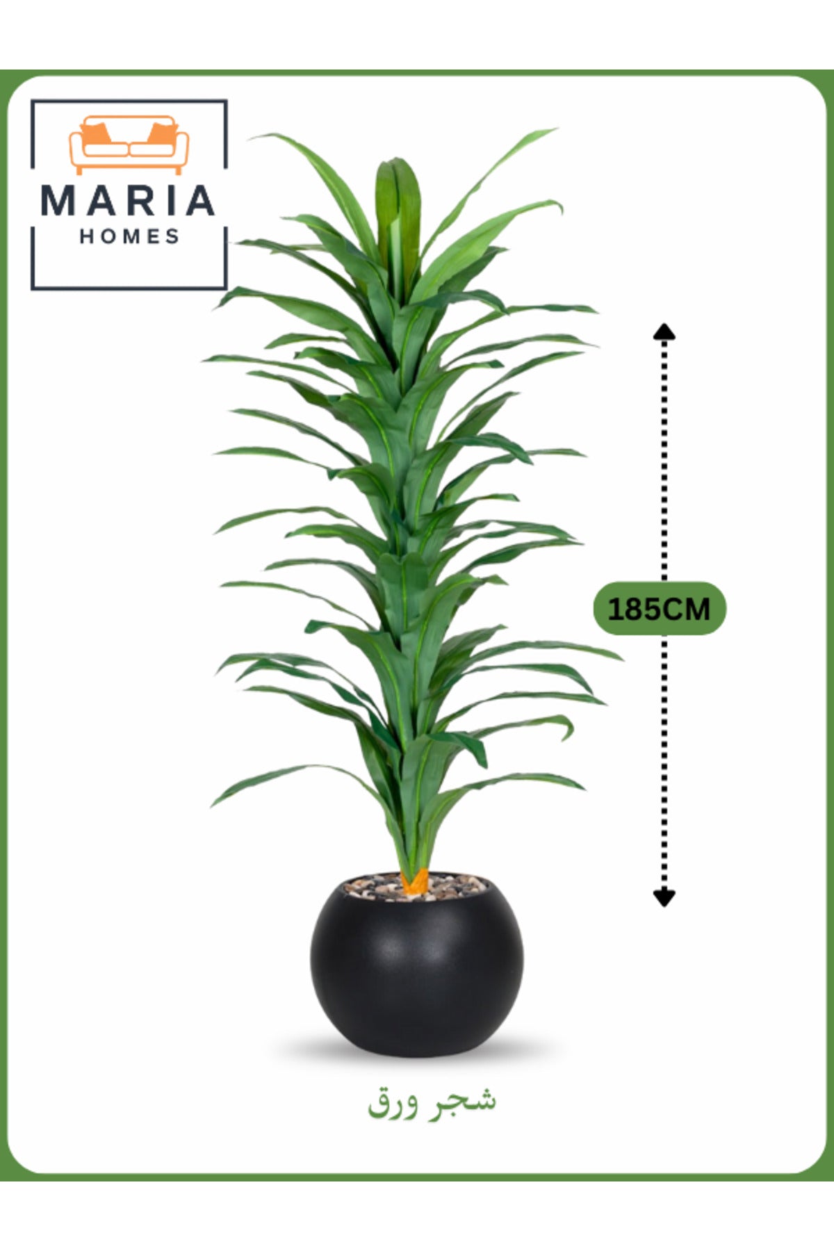 Artificial Corn Leaf Tree 185 cm Ð Indoor Plant with Black Plastic Pot