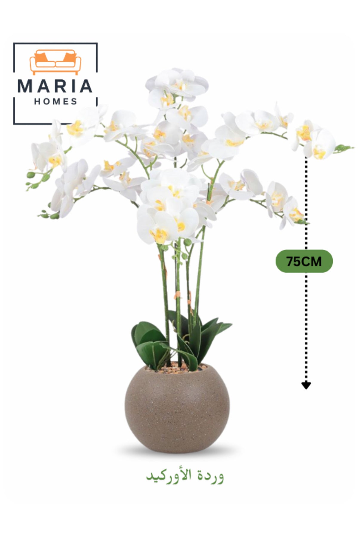 Artificial White Orchid 75 cm Ð Elegant 6-Stem Flower in Round Plastic Pot