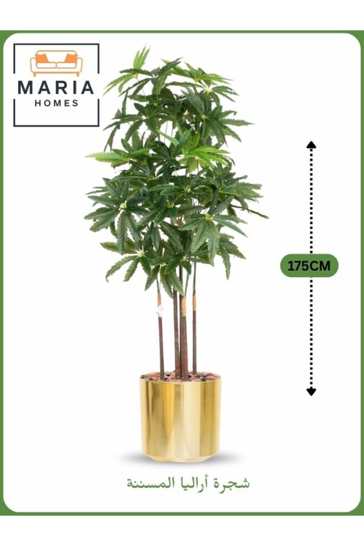 Artificial Aralia Tree 175 cm – 5 Branches in Gold Plastic Pot