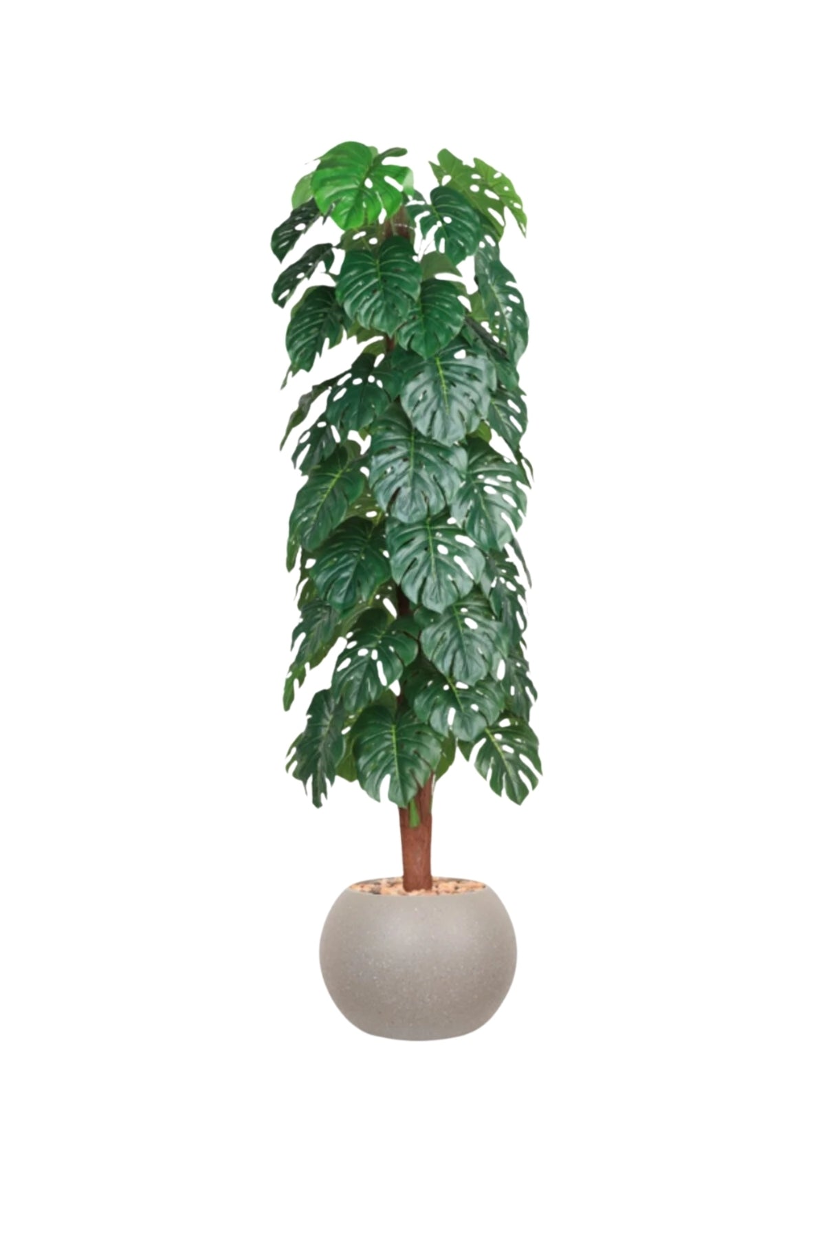 Artificial Monstera Tree 200 cm – Tall Faux Plant with Beige Pot