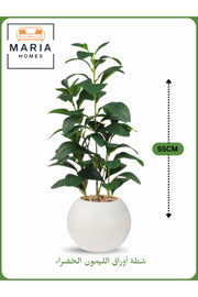 Artificial Lemon Leaf Plant 55 cm Ð Decorative Indoor Greenery with White with yellow dots Pot