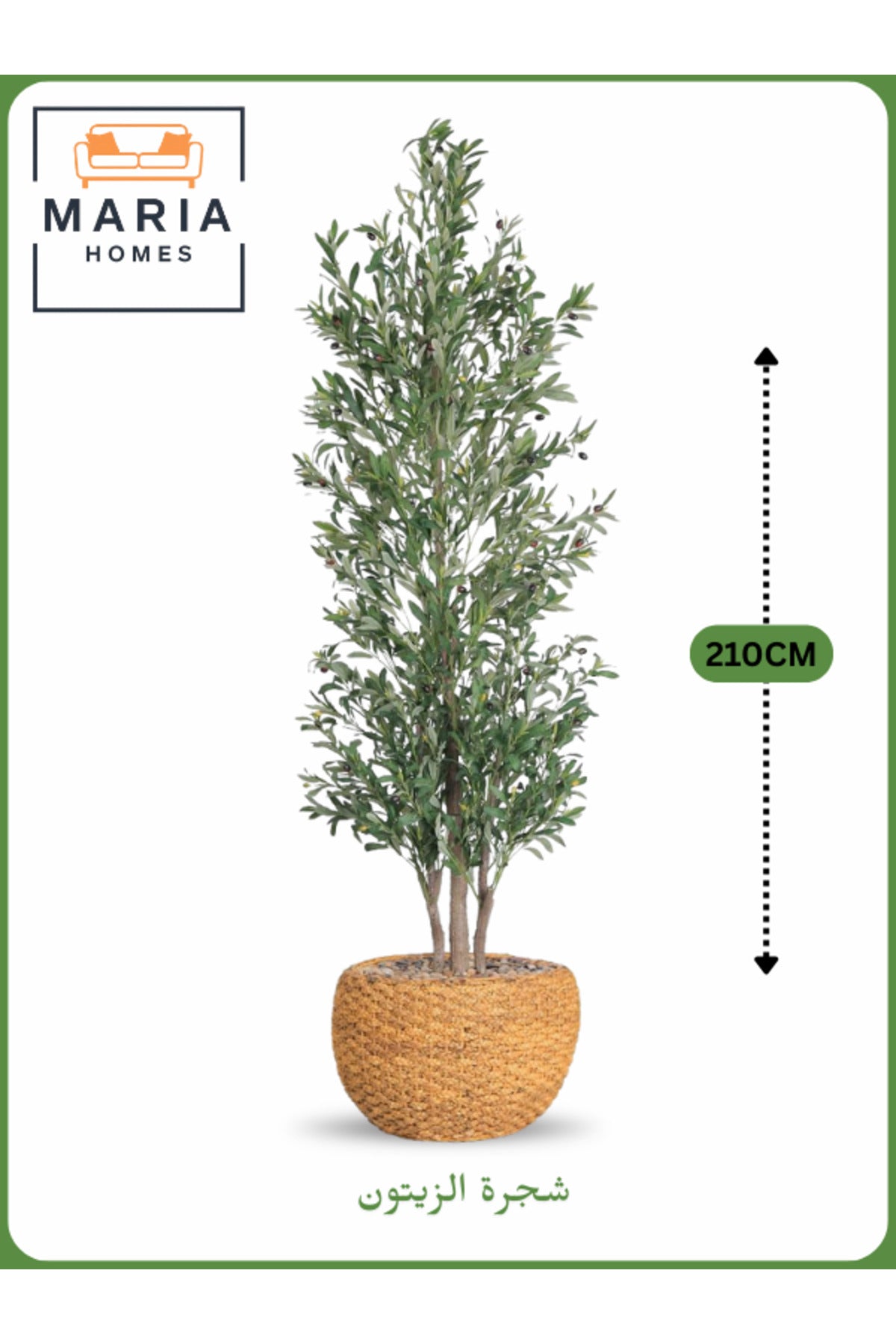 Artificial Olive Tree 210 CM with Yellow Decorative Pot – 3 Branches Indoor & Office Plant