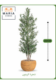 Artificial Olive Tree 210 CM with Yellow Decorative Pot – 3 Branches Indoor & Office Plant