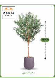 Artificial Olive Tree 210 cm Ð Large Indoor Decorative Tree with PURPLE-GRAY Pot