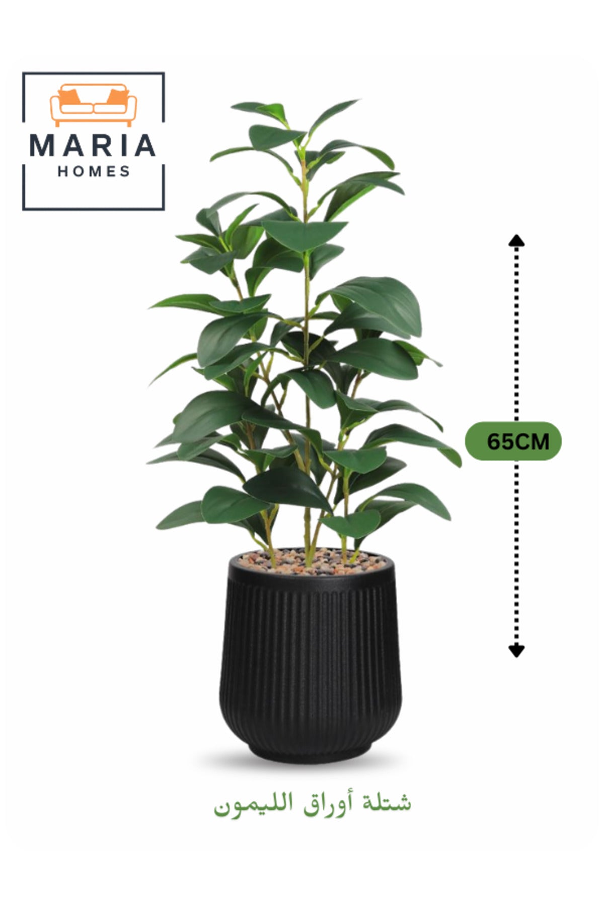 Artificial Lemon Green Leaf Plant 65 cm Ð Small Decorative Indoor Plant with Black Pot
