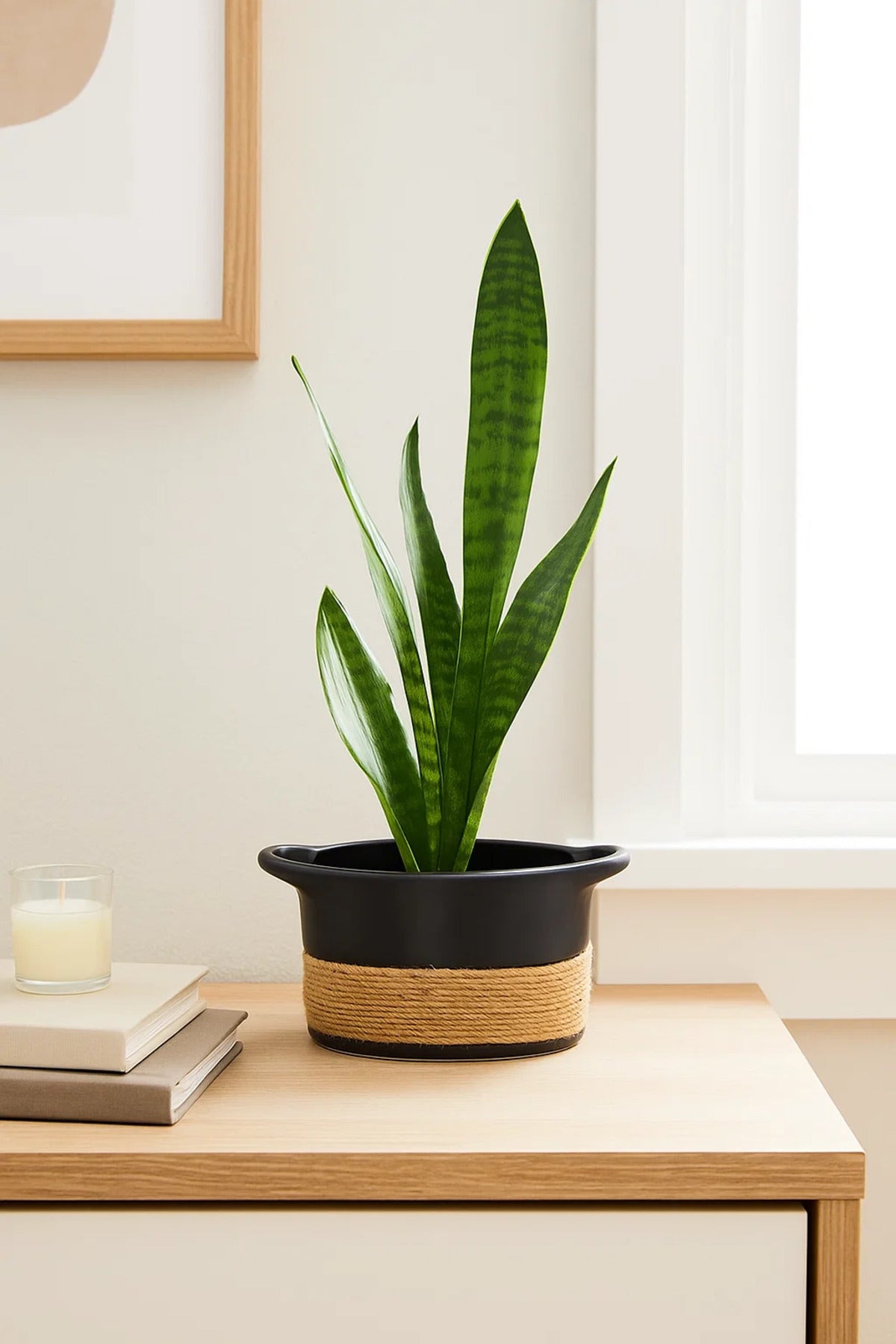 Black Ceramic Basket PlanterÐ Modern Decorative Pot with Rope Design for Home DŽcor