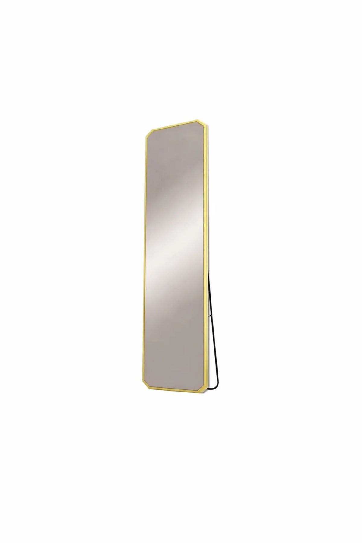 Modern Gold Floor Mirror 170x50cm Aluminum Frame Shatterproof Full Body Bedroom Dressing Decor